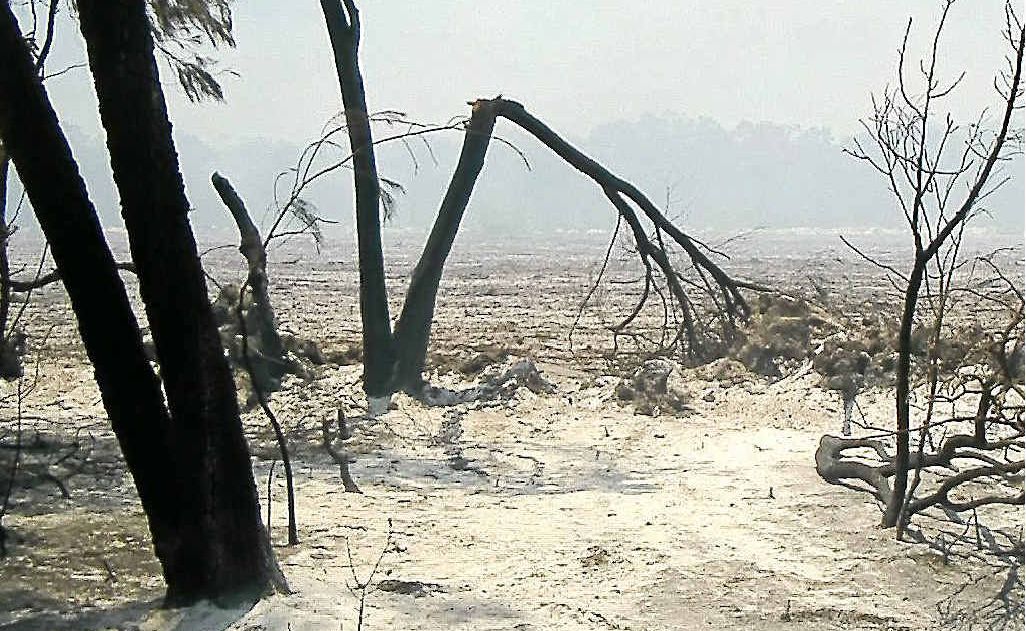 Smoke fills the air after a ferocious fire tore through a property at Coonarr last week, which the land’s owners believe was arson. Smoke fills the air after a ferocious fire tore through a property at Coonarr last week, which the land’s owners believe was arson.